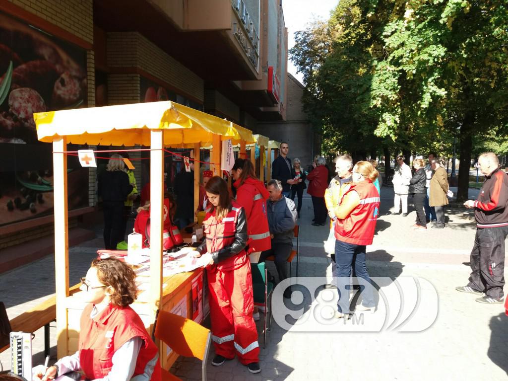 Međunarodni dan starih osoba, Apatin 2017 (2)