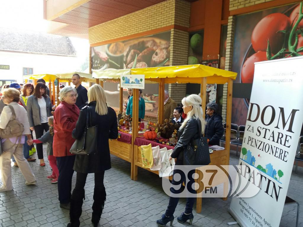 Međunarodni dan starih osoba, Apatin 2017 (3)
