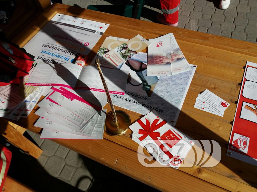 Međunarodni dan starih osoba, Apatin 2017 (4)
