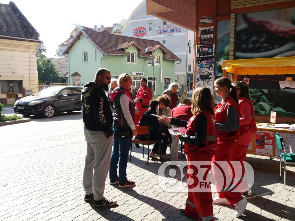 Međunarodni dan starih osoba, Apatin 2017 (5)
