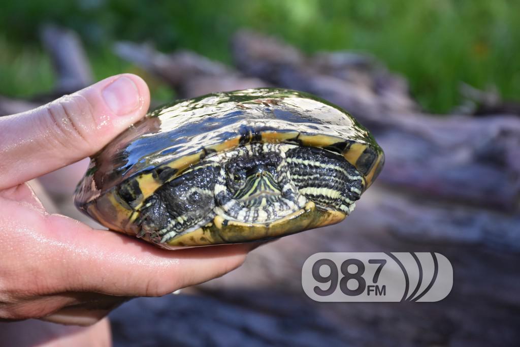 Udruzenje ljubitelja prirode Franc Spajzer (1)