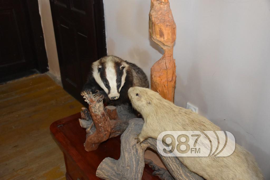 Udruzenje ljubitelja prirode Franc Spajzer (2)