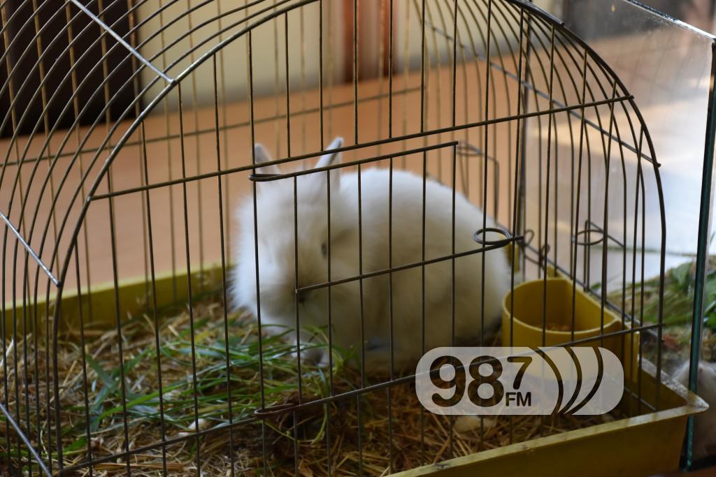 Udruzenje ljubitelja prirode Franc Spajzer (5)