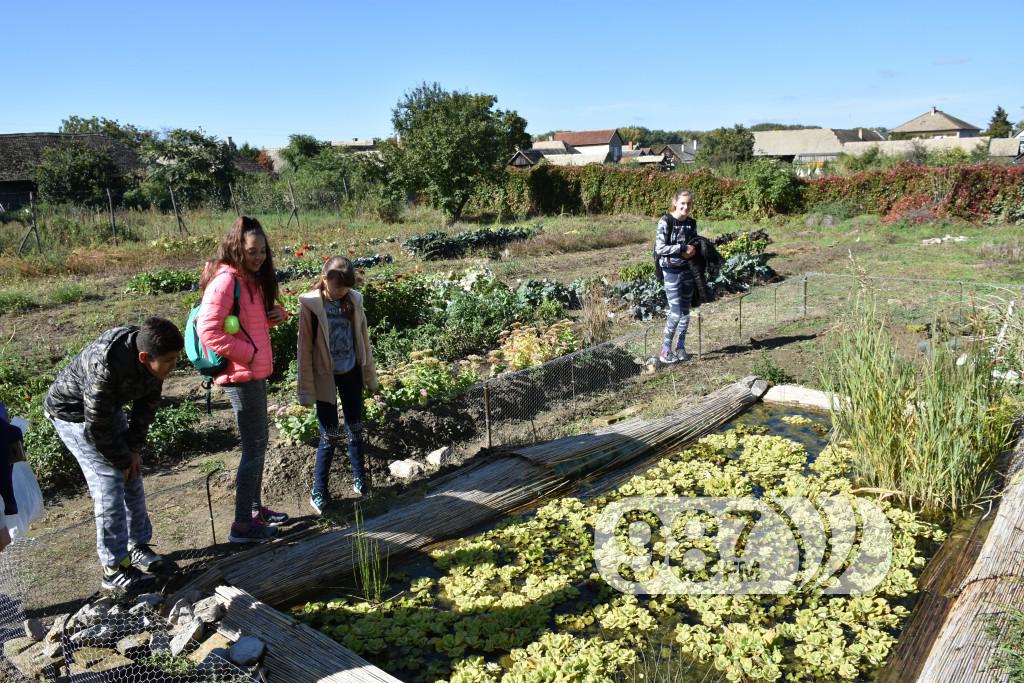 Udruzenje ljubitelja prirode Franc Spajzer (7)