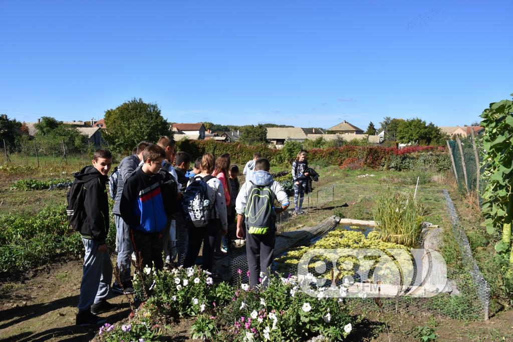 Udruzenje ljubitelja prirode Franc Spajzer (9)