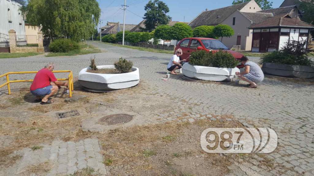 Prigrevica uredjenje