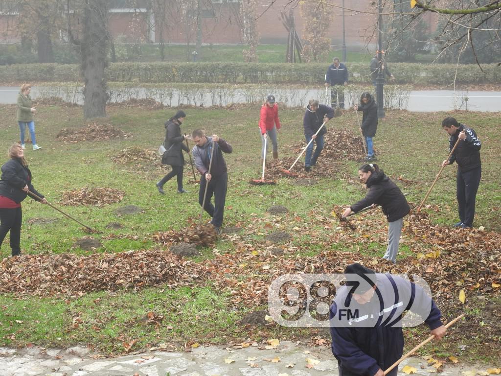 SNS, AKCIJA SKUPLJANJA LISCA (1)