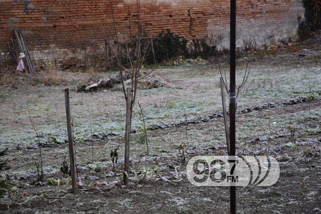 centar, mraz, apatin, decembar