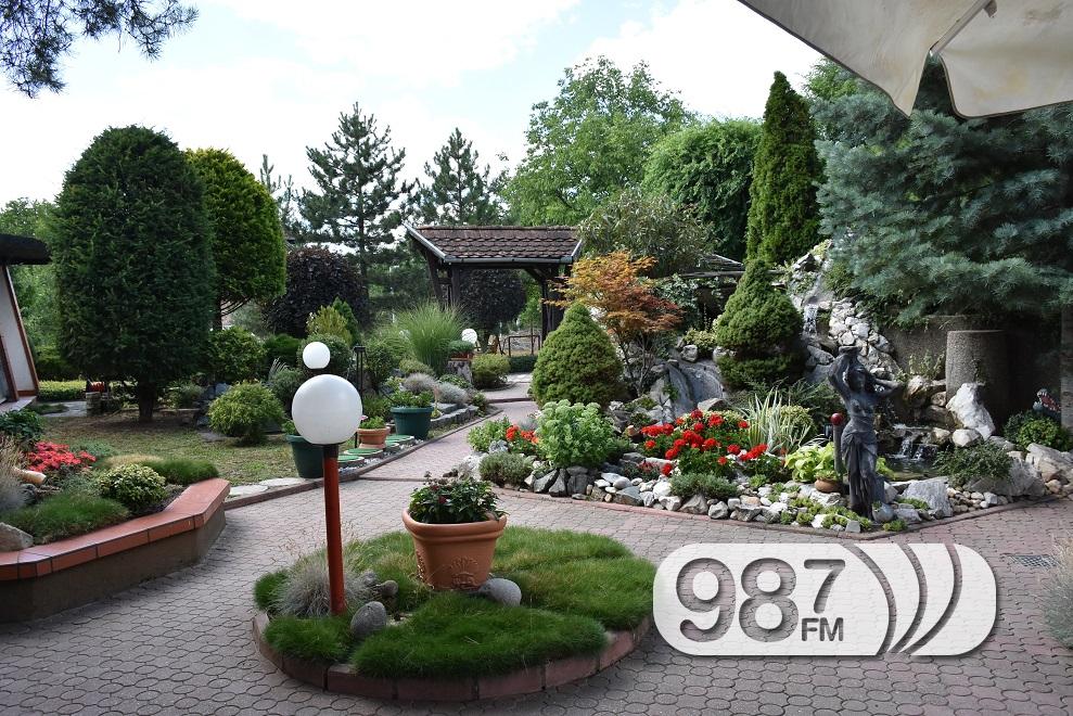 ПРВО МЕСТО ЗА БАШТУ ПОРОДИЦЕ БАЈИЋ - Radio Dunav